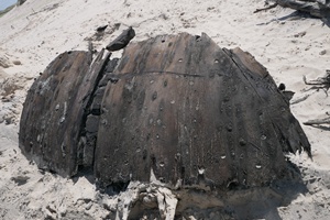 Wooden shipwreck discovered during DolWin4 offshore cable installation